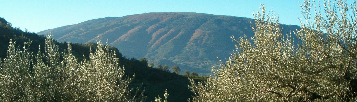 cropped hpim0397 e1453917074513.jpg